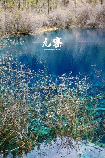 拯救漂亮的女孩