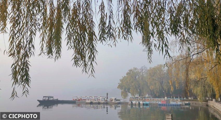 请问长得怎么样