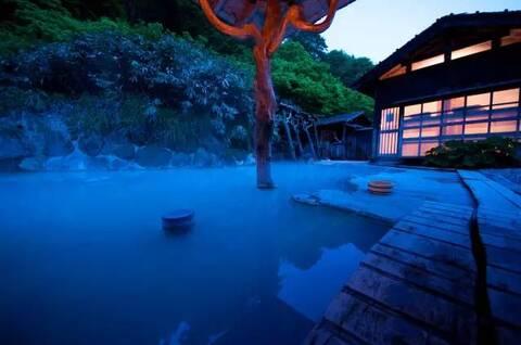 缤纷水果茶