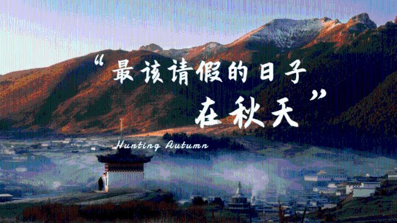 春雨直播app