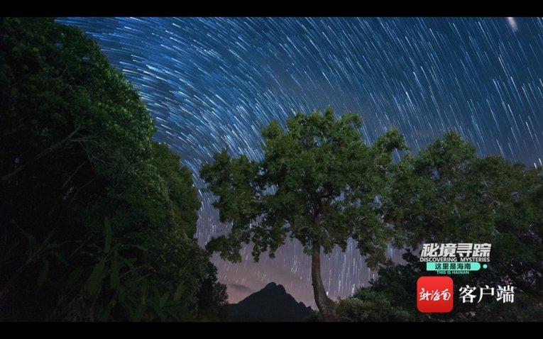 重庆男子为用钱取悦女主播，杀子骗保被执行死刑，案件有哪些细节值得关注？