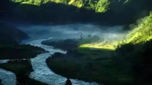 临沂一驴肉馆里逃出一头驴狂奔不止，这说明了什么？游戏画面