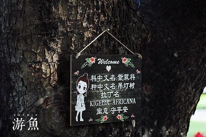 微盘走红！4.3万亿基金“爱股”浮出水面