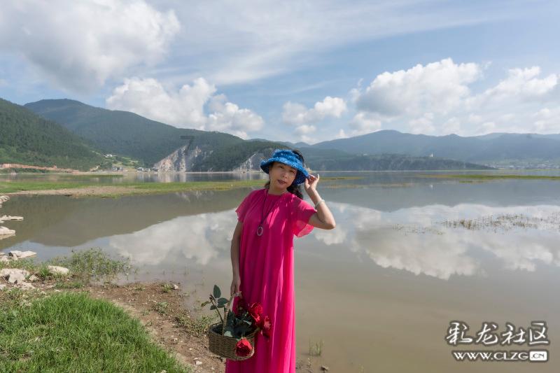 虫虫助手下载