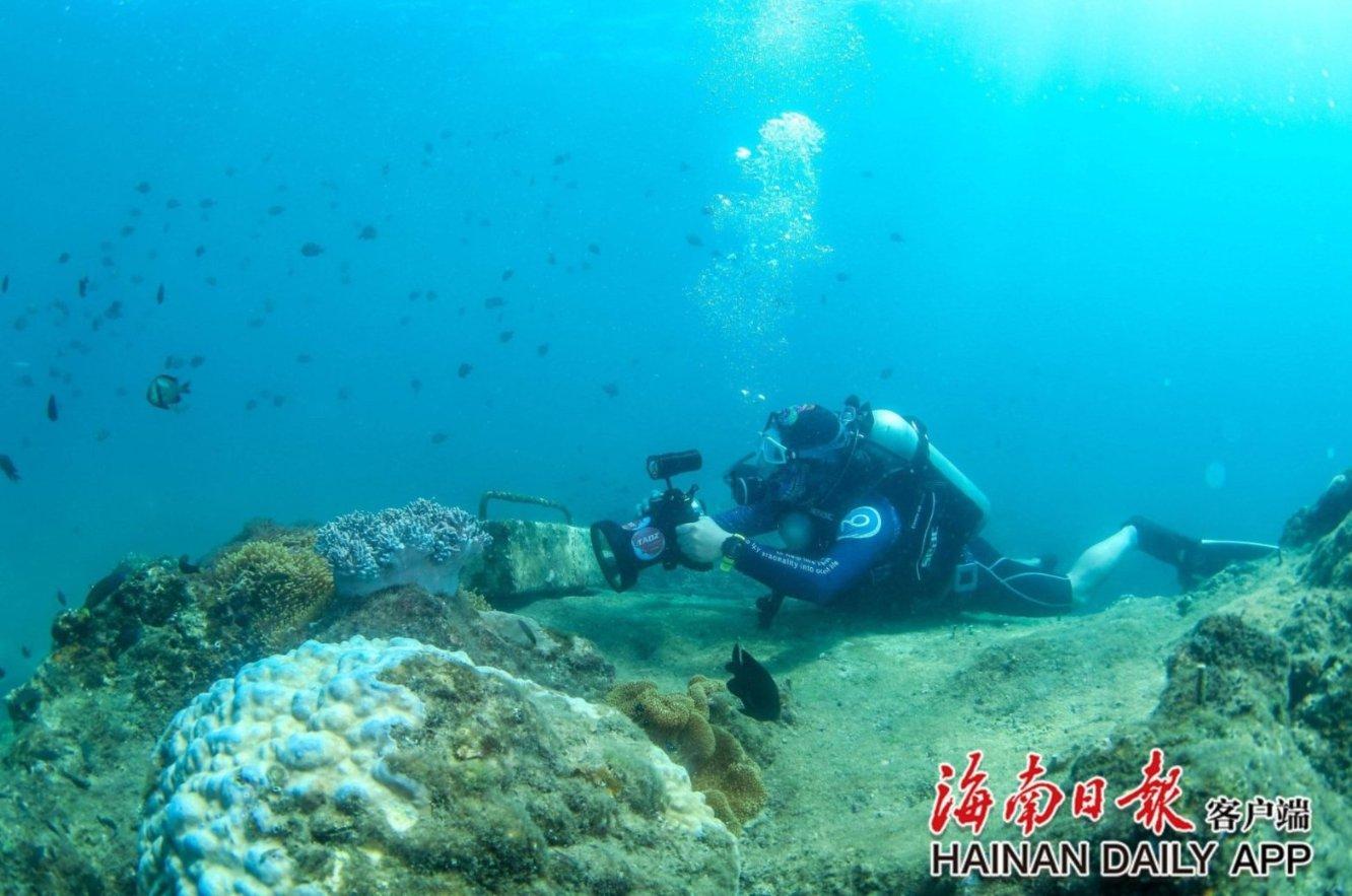 不朽星球