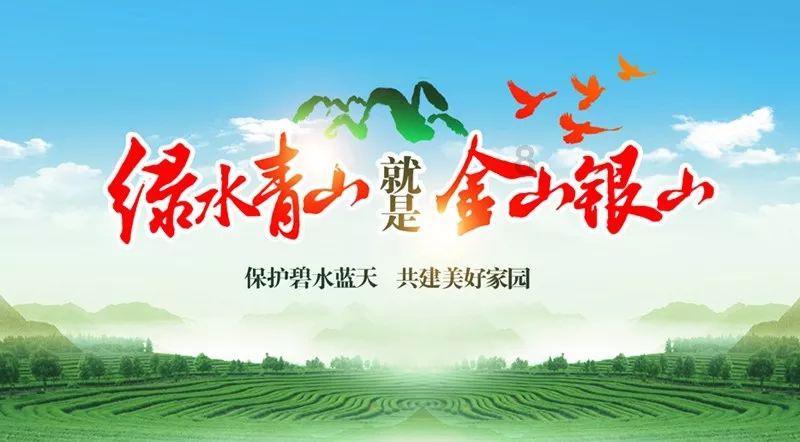 51场活动!沂源文旅邀你回村过年