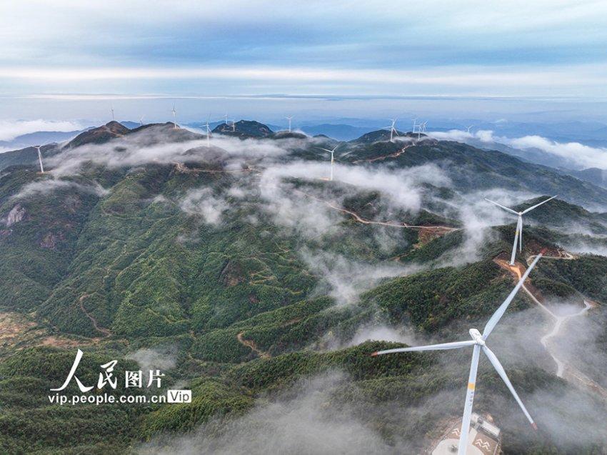 唐骏的“刻”守之道②：白花石刻的百余年沉浮史｜匠心