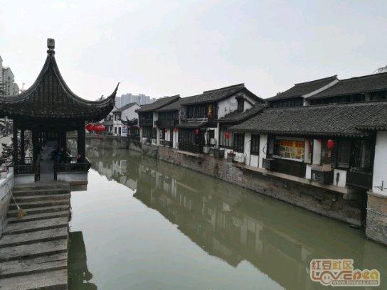 异形：隔离