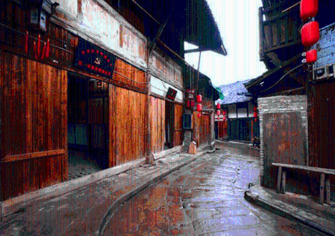 僵尸女友爱爬树