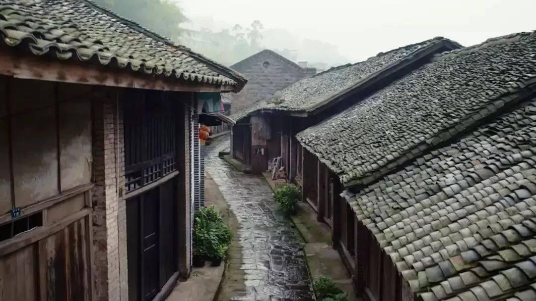 中国共产党上海市杨浦区第十一届纪律检查委员会第四次全体会议举行