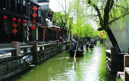 救援紫色生物